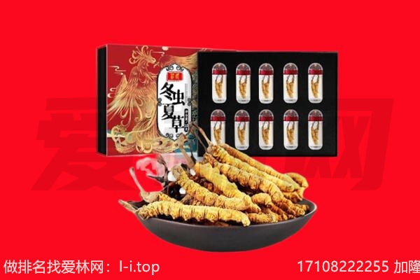 敖汉旗回收虫草.jpg